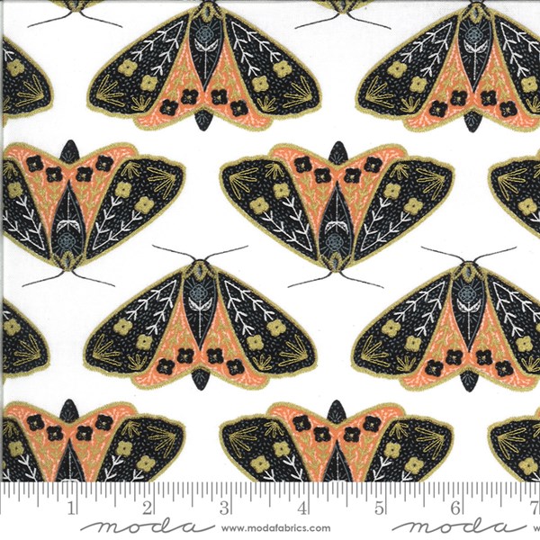 Dainty Moths