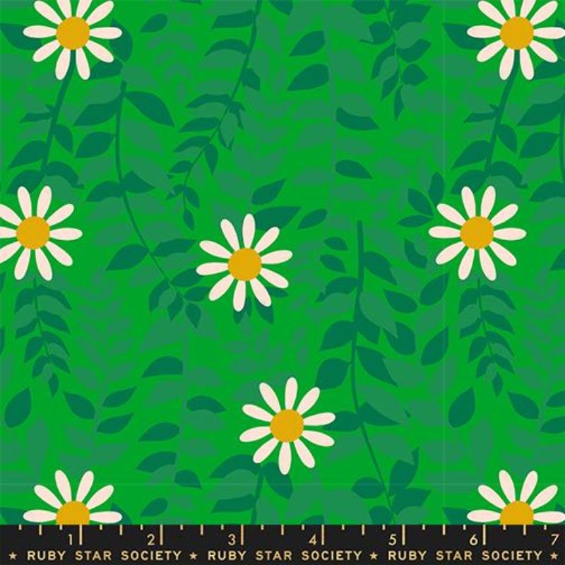 Daisies - Verdant