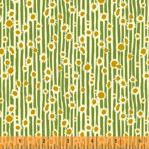 Daisies in Green