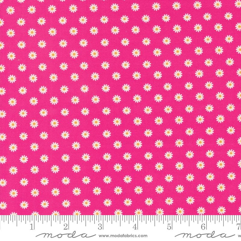 Daisy Dot - Hot Pink