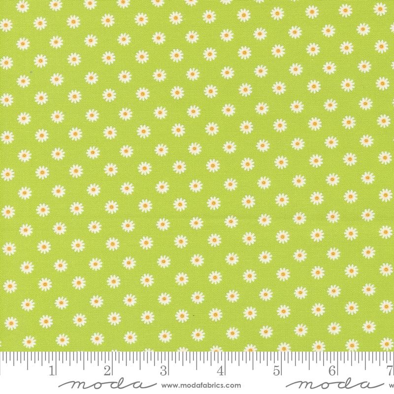 Daisy Dot - Chartreuse