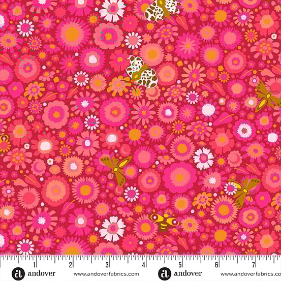 Daisy Field - Cardinal