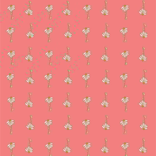 Daisy Symphony