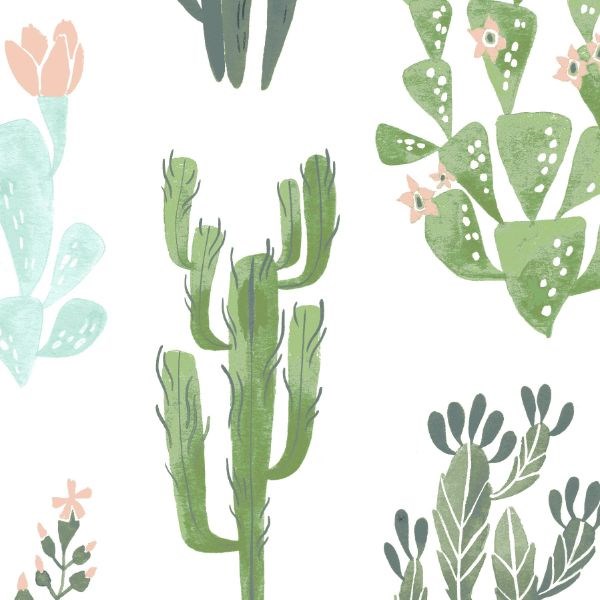 Desert Bloom Cacti