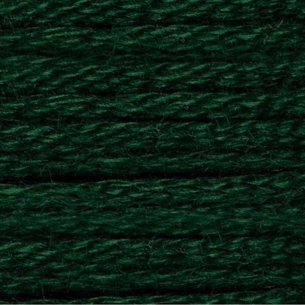 DMC 6 Strand Embroidery Floss - 890