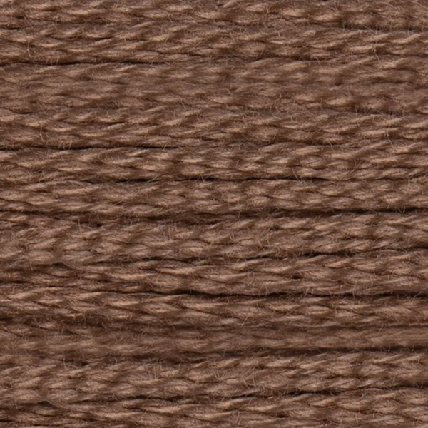 DMC 6 Strand Embroidery Floss - 841