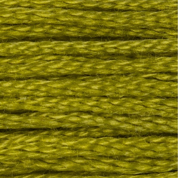 DMC 6 Strand Embroidery Floss - 166