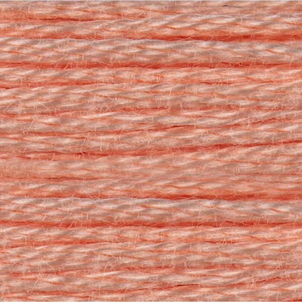 DMC 6 Strand Embroidery Floss - 353