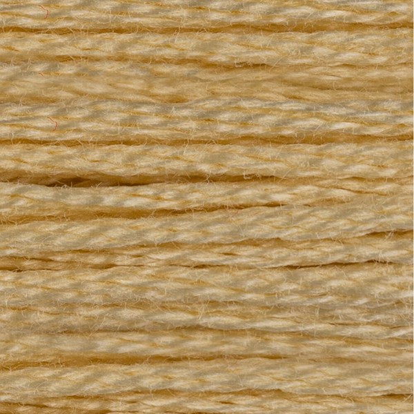 DMC 6 Strand Embroidery Floss - 677