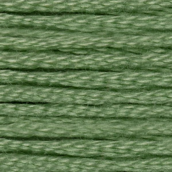 DMC 6 Strand Embroidery Floss - 164