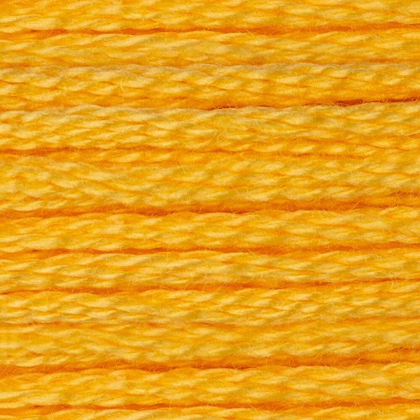 DMC 6 Strand Embroidery Floss - 743