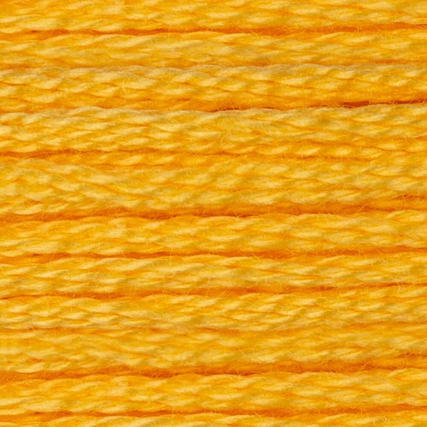 DMC 6 Strand Embroidery Floss