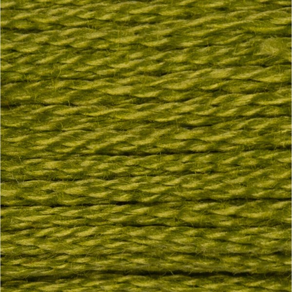 DMC 6 Strand Embroidery Floss - 581