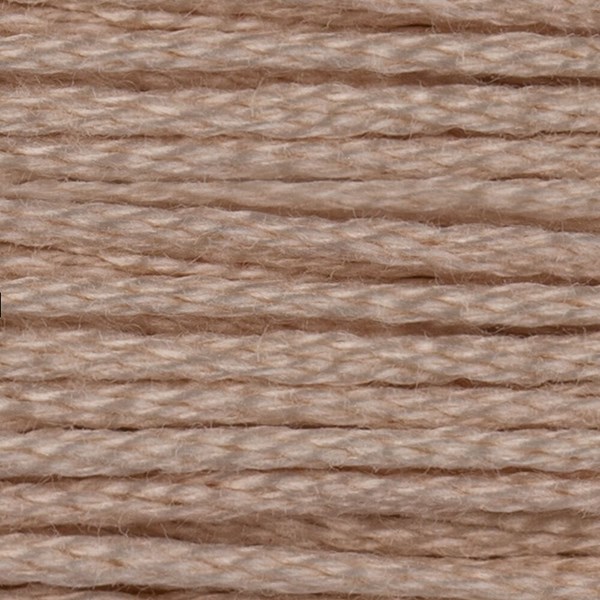 DMC 6 Strand Embroidery Floss - 543