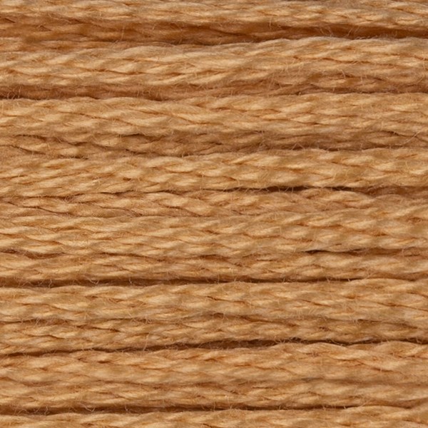 DMC 6 Strand Embroidery Floss - 437