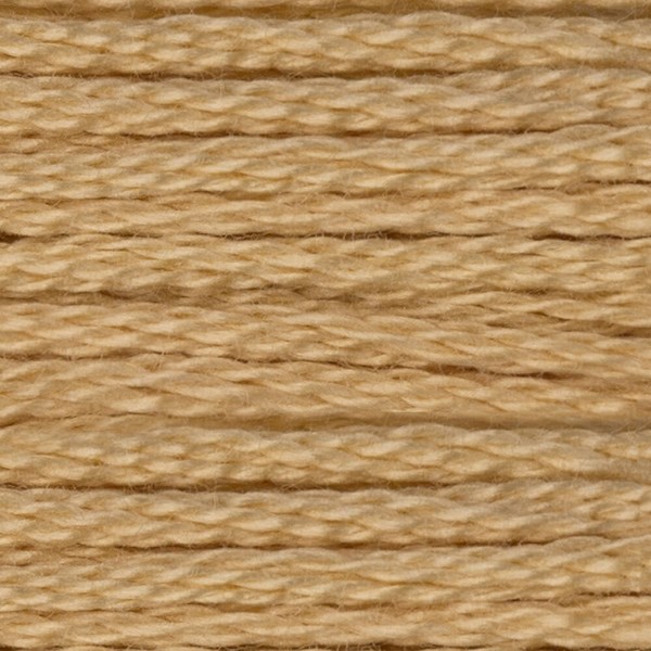 DMC 6 Strand Embroidery Floss - 738