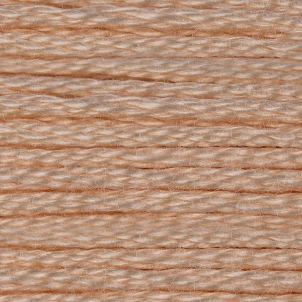 DMC 6 Strand Embroidery Floss - 951