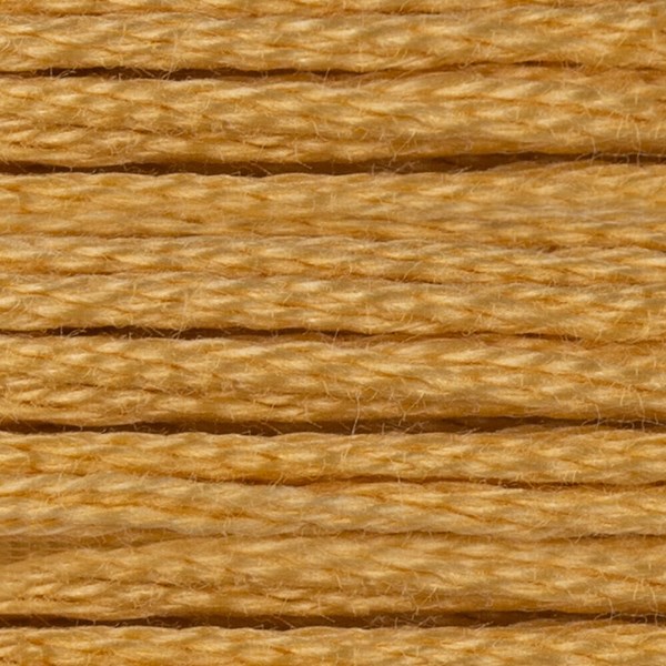 DMC 6 Strand Embroidery Floss - 676