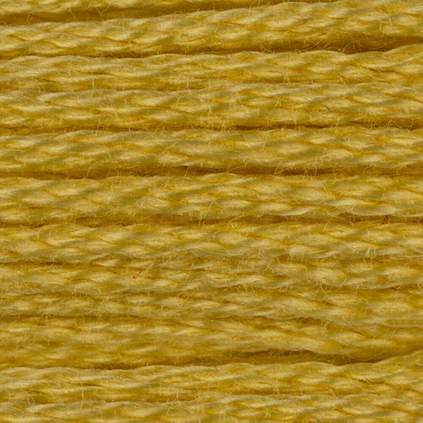 DMC 6 Strand Embroidery Floss - 17