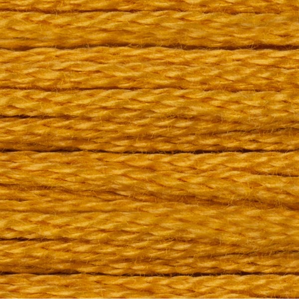 DMC 6 Strand Embroidery Floss - 3820