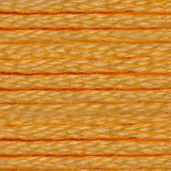 DMC 6 Strand Embroidery Floss - 19