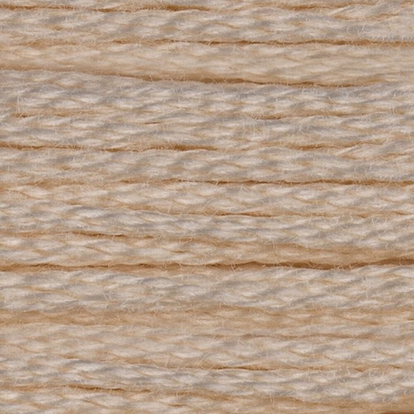DMC 6 Strand Embroidery Floss - 712
