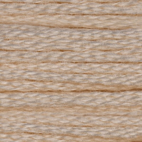 DMC 6 Strand Embroidery Floss - 712