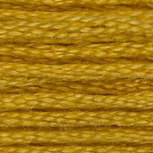 DMC 6 Strand Embroidery Floss - 18