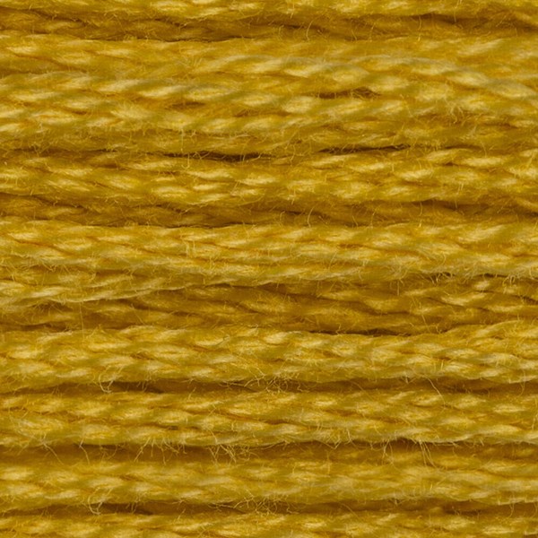 DMC 6 Strand Embroidery Floss - 18