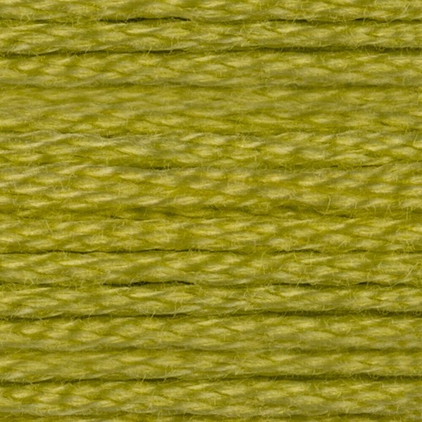 DMC 6 Strand Embroidery Floss - 12