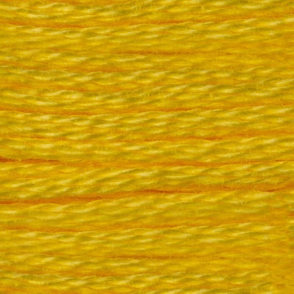 DMC 6 Strand Embroidery Floss - 307