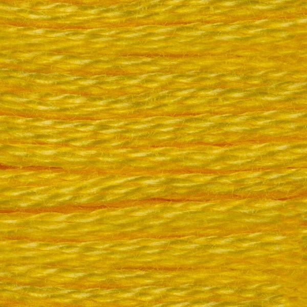 DMC 6 Strand Embroidery Floss