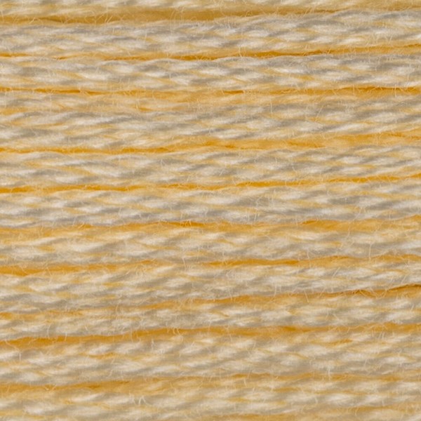 DMC 6 Strand Embroidery Floss - 3823