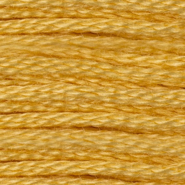 DMC 6 Strand Embroidery Floss - 3822