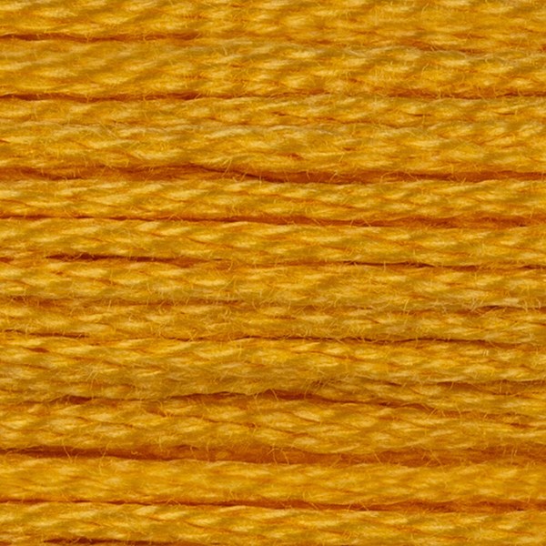 DMC 6 Strand Embroidery Floss - 728