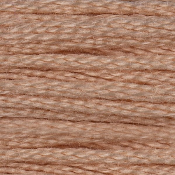 DMC 6 Strand Embroidery Floss - 950