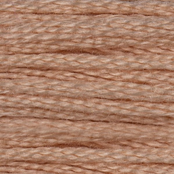 DMC 6 Strand Embroidery Floss - 950