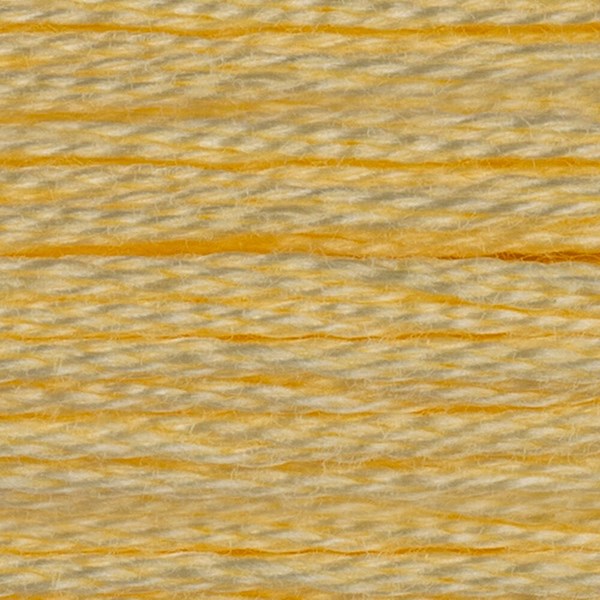 DMC 6 Strand Embroidery Floss - 3078