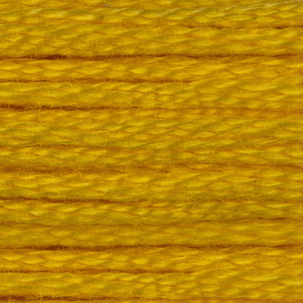 DMC 6 Strand Embroidery Floss