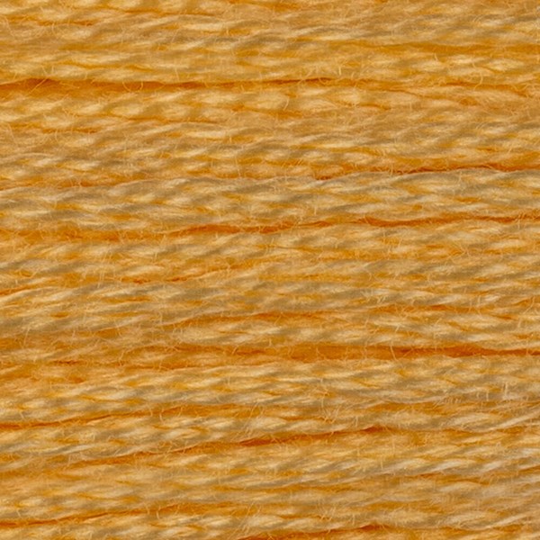 DMC 6 Strand Embroidery Floss - 3855