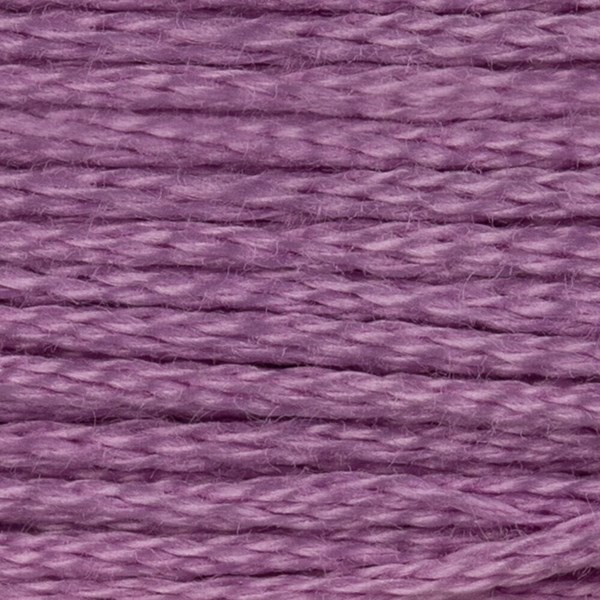 DMC 6 Strand Embroidery Floss - 554