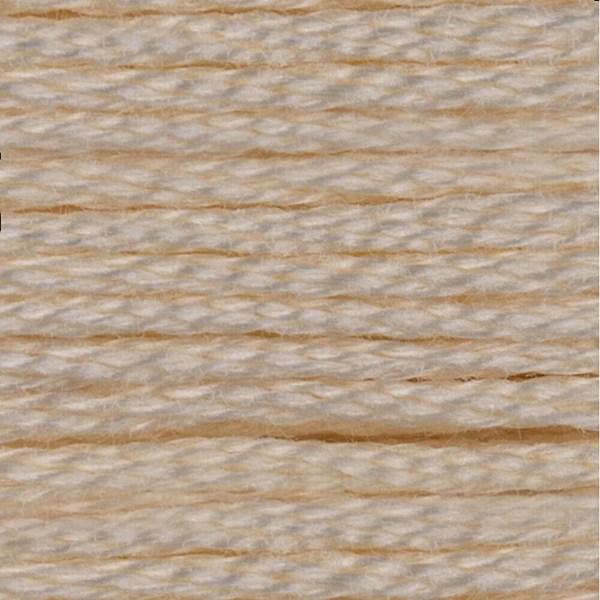 DMC 6 Strand Embroidery Floss