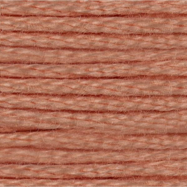 DMC 6 Strand Embroidery Floss - 754