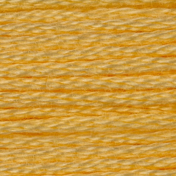 DMC 6 Strand Embroidery Floss