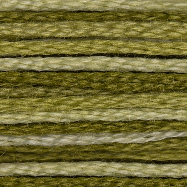 DMC 6 Strand Embroidery Floss