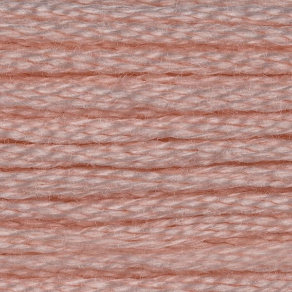 DMC 6 Strand Embroidery Floss - 225