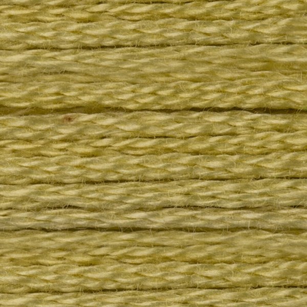 DMC 6 Strand Embroidery Floss - 165