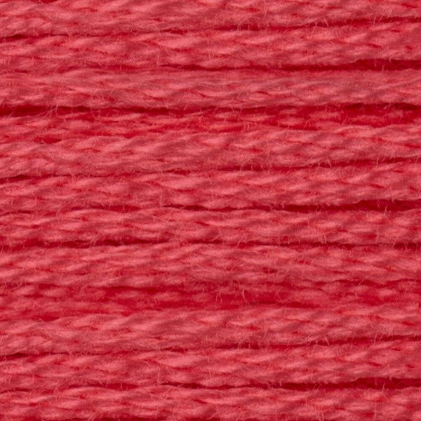 DMC 6 Strand Embroidery Floss - 893