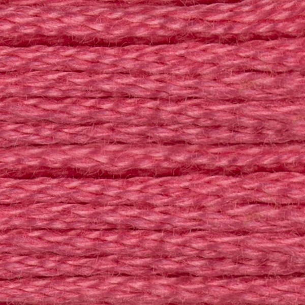 DMC 6 Strand Embroidery Floss - 899