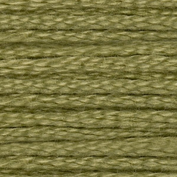 DMC 6 Strand Embroidery Floss - 3348